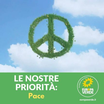 La pace, la difesa dell’ecosistema lagunare e della biodiversità,  i diritti alla salute e al lavoro sostenibile. Ecco gli impegni dell’esecutivo EV eletto a Venezia