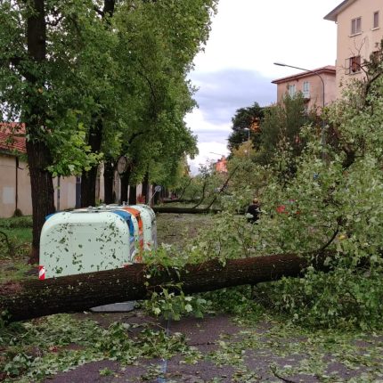 Quanto accaduto a Verona non è solo maltempo! La Regione Veneto smetta di avallare il consumo del suolo e passi alla transizione ecologica