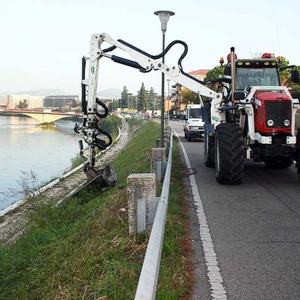 Un tavolo di concertazione per salvare l’orchidea di Verona