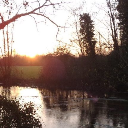 Cemento allo Storga: una pugnalata al cuore verde di Treviso