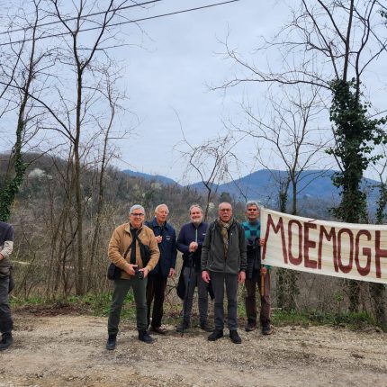 Nel Parco dei Colli, “MAB Unesco”, tra deroghe alle norme di salvaguardia, ed interventi opinabili con colate di cemento e asfalto, continua la progressiva ed irrefrenabile aggressione all’ambiente