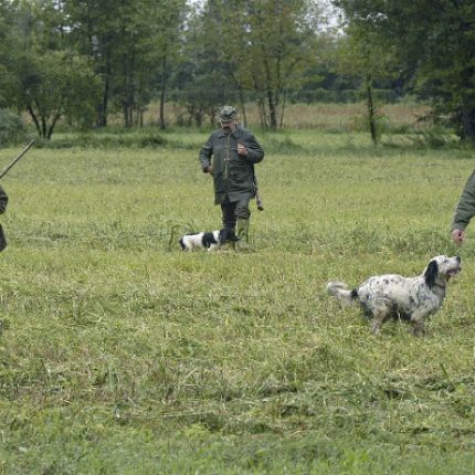 Siccità e incendi hanno colpito la fauna selvatica. La Regione Veneto sospenda l’apertura della caccia