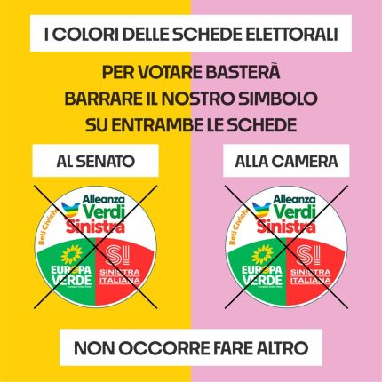 Vota per Alleanza Verdi Sinistra