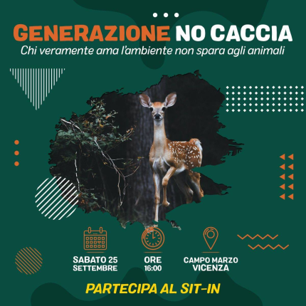 Generazione No Caccia, il sit-in a Vicenza il 25 settembre