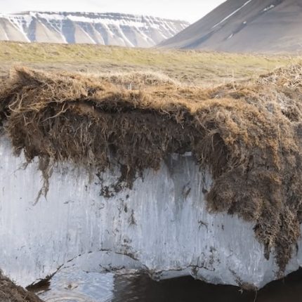 Permafrost, un supereroe senza gloria